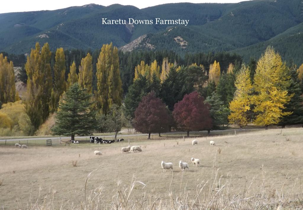Karetu Downs Farm Stay Hawarden Exterior photo